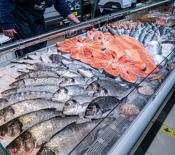 Рыбный магазин | Первая линия | Подтвержденный доход