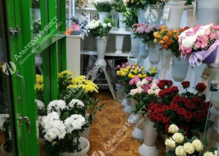 Цветочный магазин с супер проходимостью Фото - 2