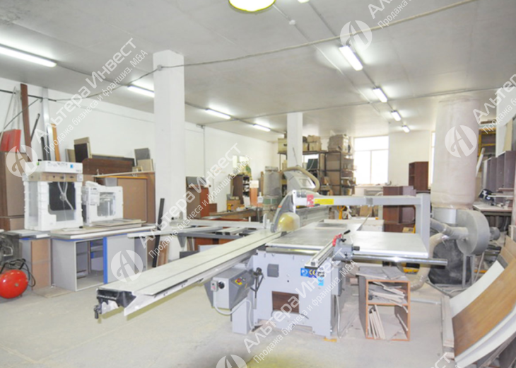 Производство мебели с ежемесячной прибылью 250 000 руб.  Фото - 1