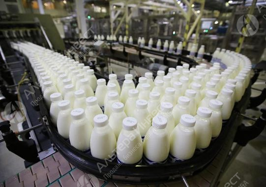 Действующее производство молочной продукции Фото - 1