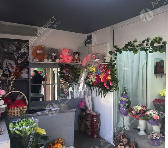 Цветочный магазин с высокой проходимостью в Приморском районе Фото - 5
