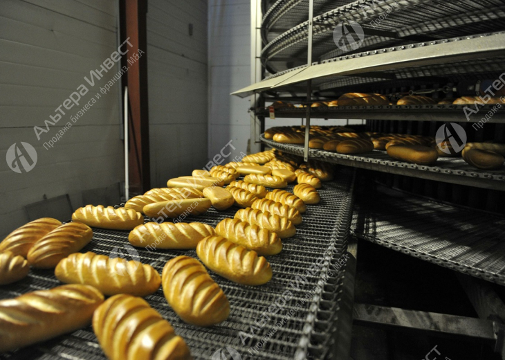 Хлебобулочное производство с рынком сбыта Фото - 1