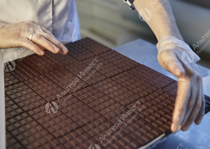 Производство шоколада с налаженным сбытом Фото - 1