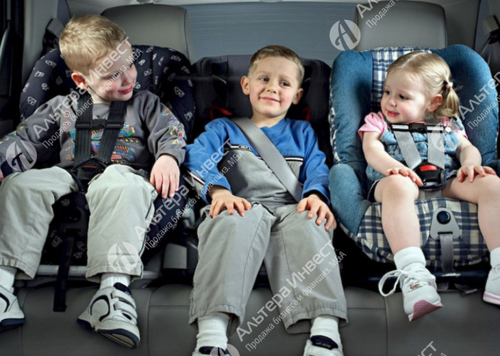 Сеть из 3 магазинов детских кресел и колясок с товарным остатком на 3 млн рублей Фото - 1