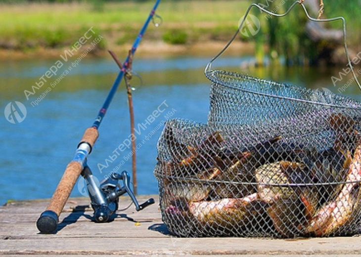 Рыболовный отдел по цене активов, существует 6 лет Фото - 1
