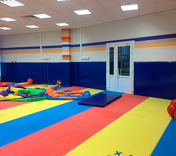 Детский спортивный клуб развивающей гимнастики, Пушкинский район 