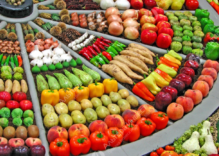 Магазин фруктов и овощей с арендой всего 11 тыс. рублей Фото - 1