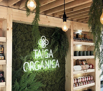 Франшиза «Taiga Organica» – полезные продукты