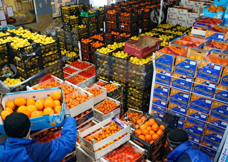 Поставщик продуктов в рестораны / 500 000 руб. в месяц Фото - 1