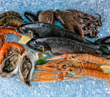 Оптово-розничной торговля морепродуктами 