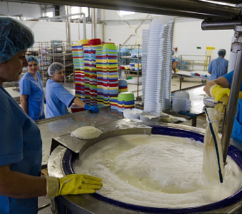 Завод по производству сыра в собственности