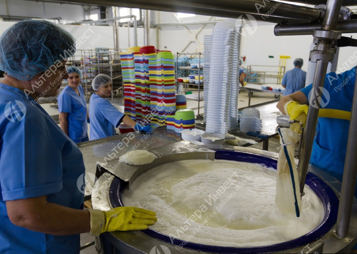 Завод по производству сыра в собственности Фото - 1