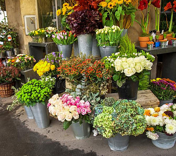 Интернет-магазин по продаже цветов