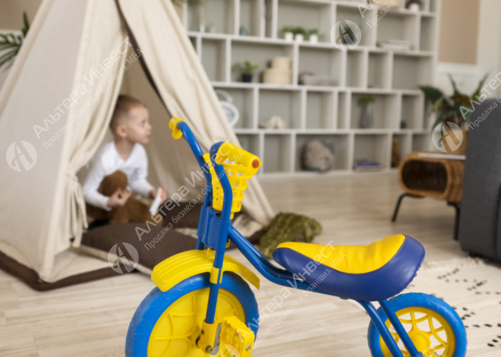 Интернет-Магазин детских колясок без вложений в рекламу Фото - 1