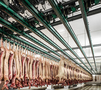 Производство мясных полуфабрикатов в Новосибирске