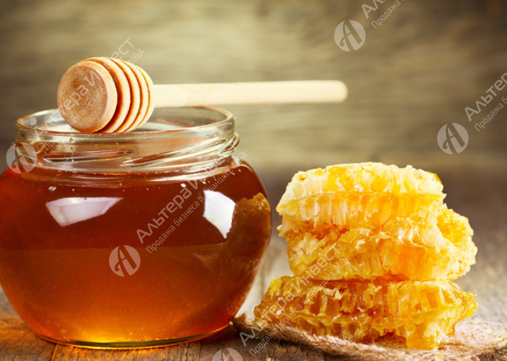 Производство по уникальной технологии и продажи экзотических медовых десертов с фруктами, ягодами, орехами и специями Фото - 1