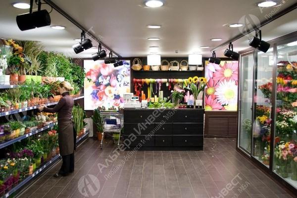 Цветочный Магазин в отличной локации у метро Озерки / прибыль 45 000 Фото - 1