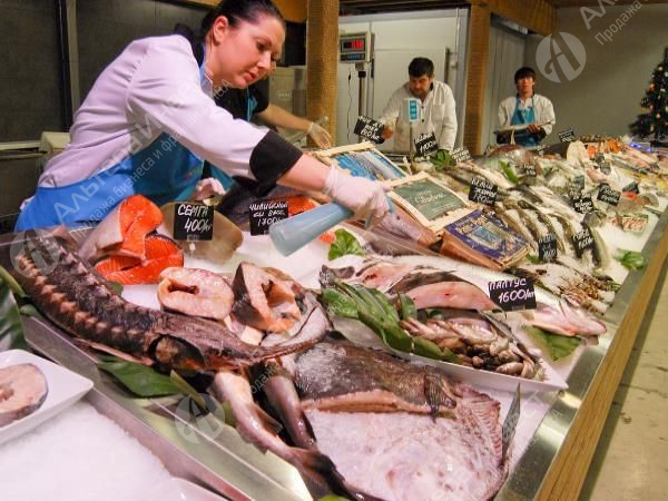 Сеть розничных магазинов по продаже рыбы и морепродуктов  Фото - 1