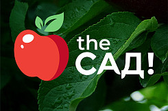 Франшиза «The САД» – питомник садовых растений