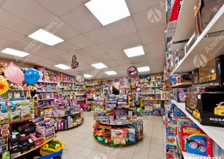 Сеть магазинов игрушек / Доход 290 тыс. Фото - 1
