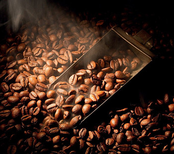 Инвестиции в торгово-производственный холдинг кофе