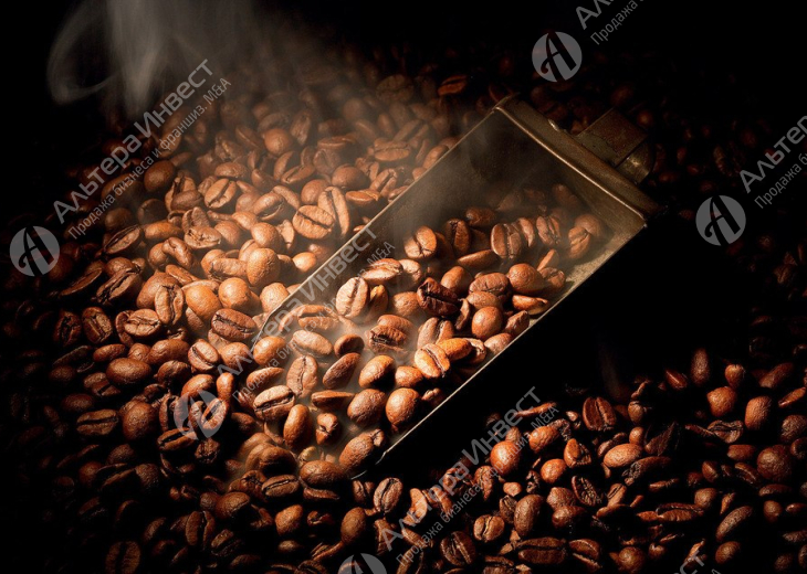 Инвестиции в торгово-производственный холдинг кофе Фото - 1