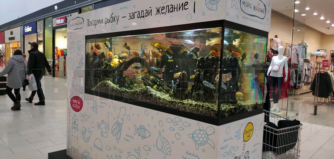 Франшиза автоматических аквариумов «Море Желаний»  Фото - 1