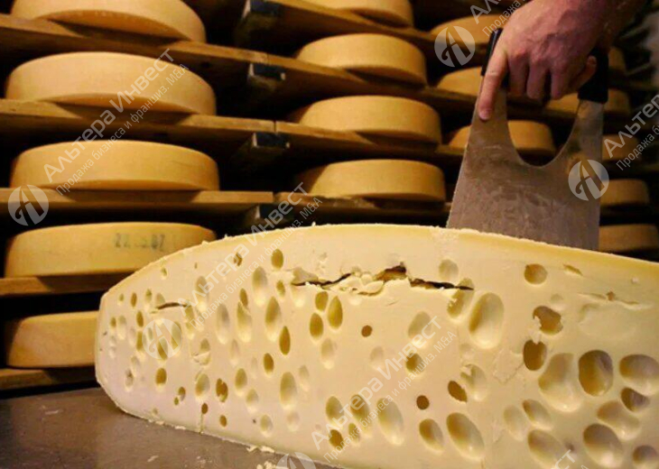 Пищевое производство сыра в Московской области. Бизнес по цене активов Фото - 1