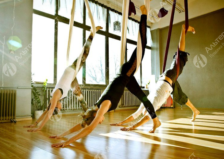 Студия йоги с полностью отлаженными бизнес-процессами Фото - 1