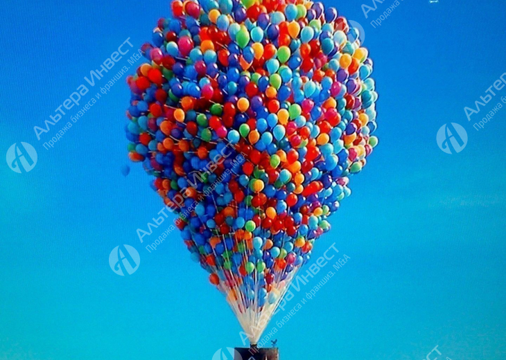 Интернет-магазин воздушных шаров . Автоматизированные процессы Фото - 1