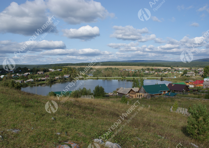 Фермерское хозяйство, разведение оленей Фото - 2