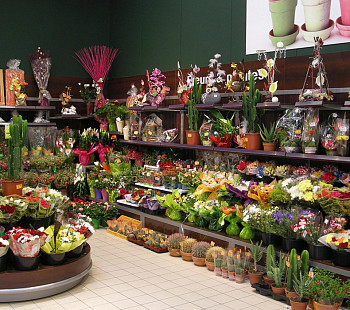 Интернет-магазин цветов с мастерской на Рижском вокзале. 