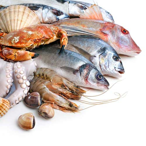 Оптово-розничной торговля морепродуктами  Фото - 2
