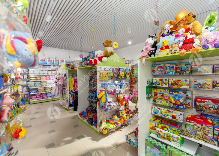 Известная сеть магазинов игрушек  Фото - 2
