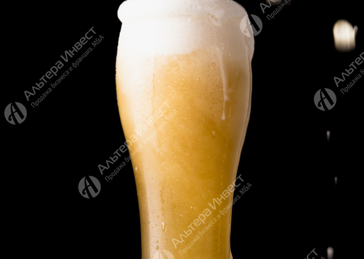 Магазин разливного пива с возможностью получения алкогольной лицензии Фото - 1