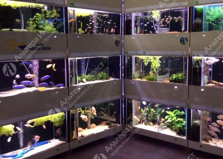Магазин аквариумов и зоотоваров в Московском районе Фото - 1