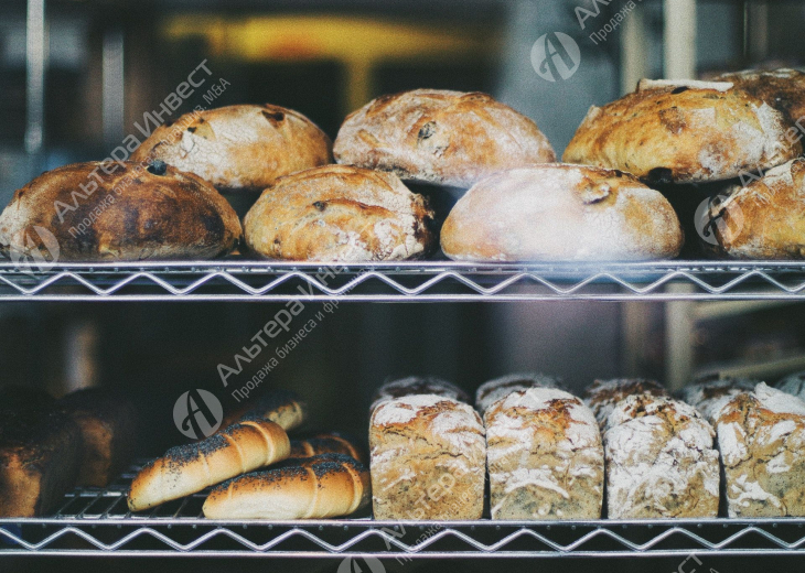 Пекарня полного цикла в Стерлитамаке. 2 года работы Фото - 1